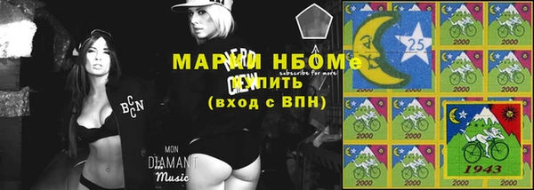 шишки Баксан