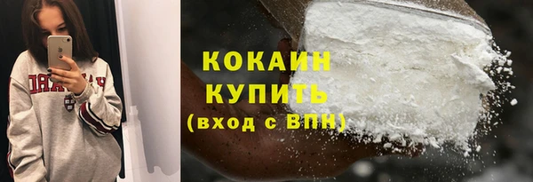 шишки Баксан