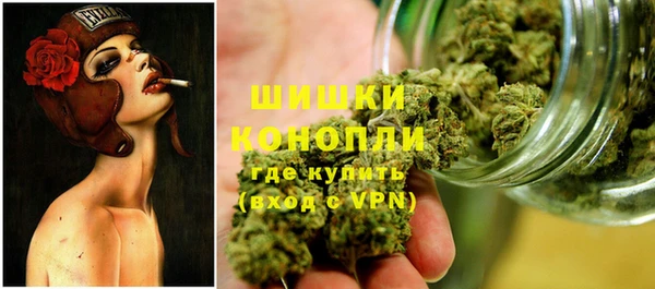 шишки Баксан