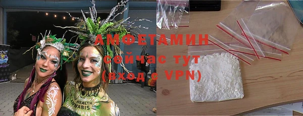 шишки Баксан